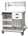 Double endoscopy cart with riser kit and tilt bins