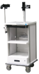 Endoscopy tower cart with monitor post